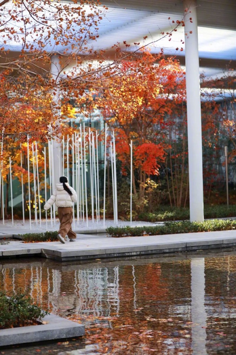 Natsuda Bunpoom tweet media