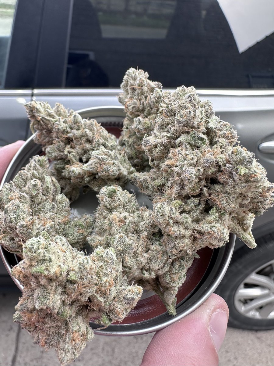 DogHouse Farms - Michigan tweet media