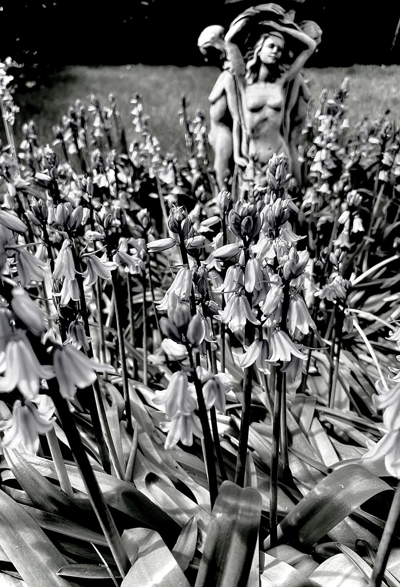 Monkey Island Lane tweet media