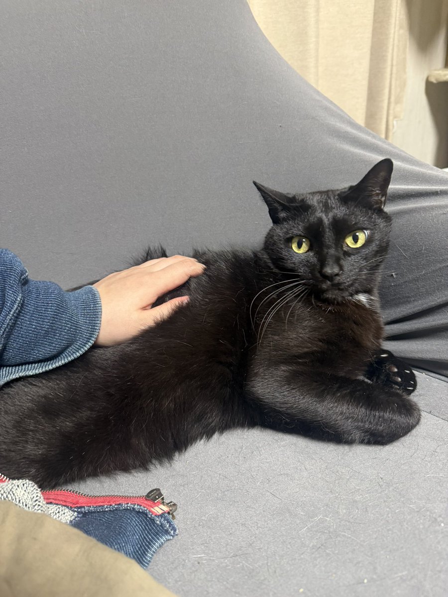 青柳菜摘/だつお tweet media