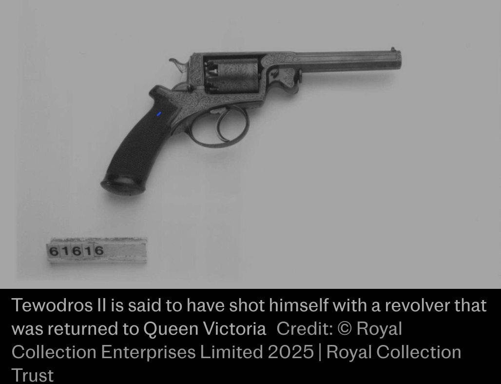 alula pankhurst tweet media