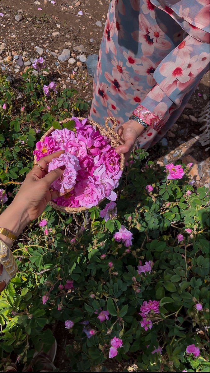 AURA💫 tweet media