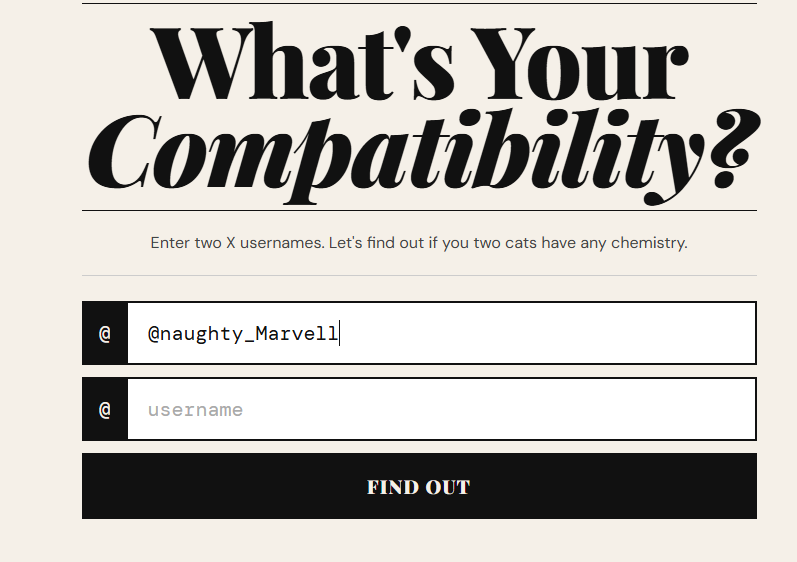 「 ✦ Wendy 💙 」 tweet media