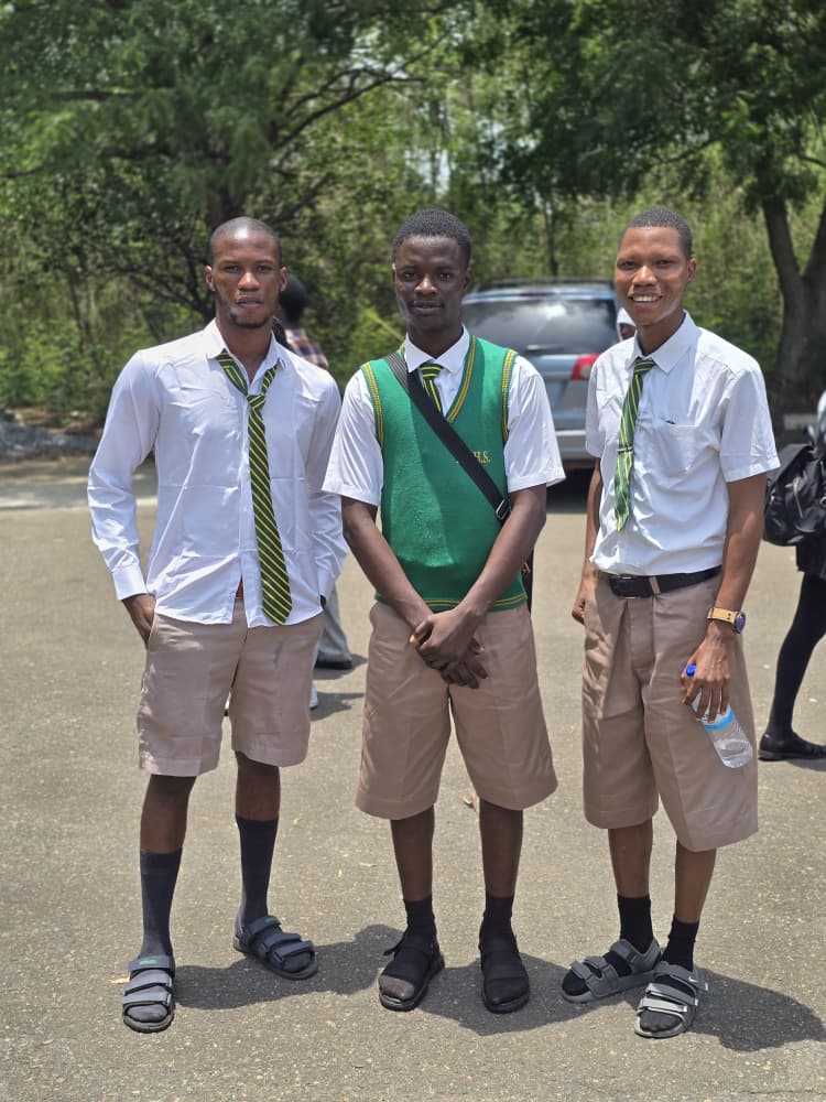 Icon David tweet media