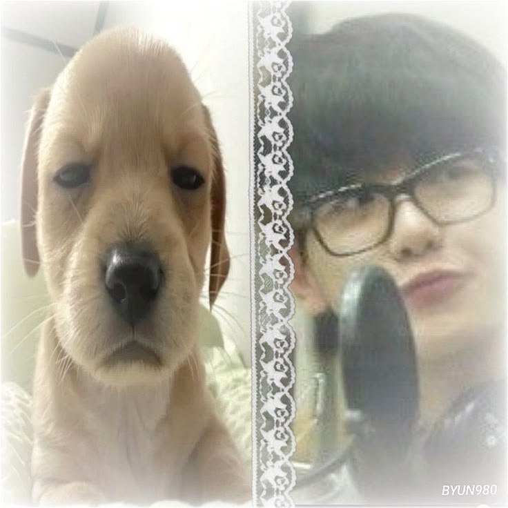 𖹭.ᐟ ℬ𝒶ℯ𝓀 𝒹ℴ 𝓁ℴ𝒶 ⋆‧°𓏲ּ𝄢 tweet media