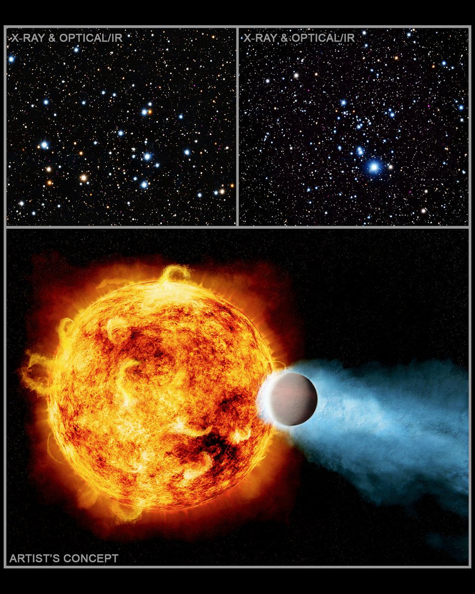 Chandra Observatory tweet media