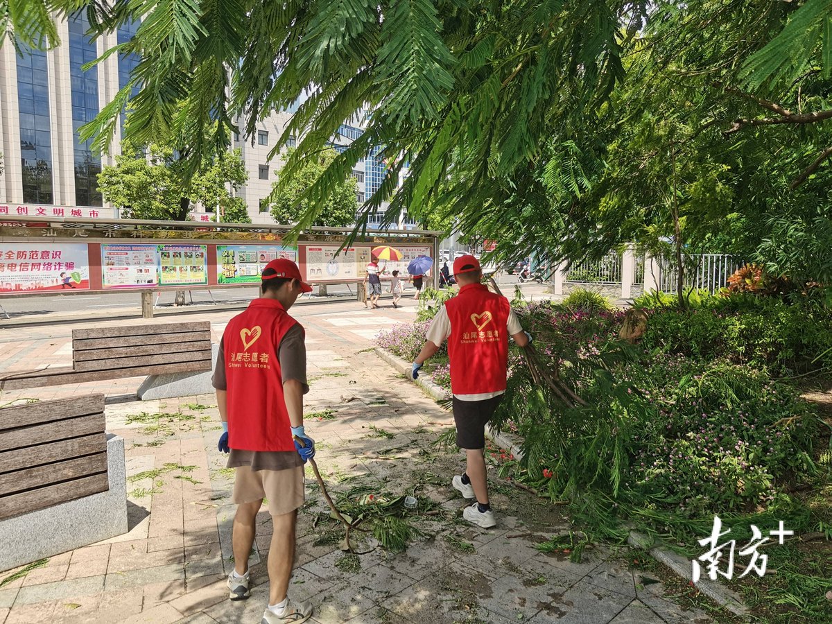 Taras Ivanyshyn tweet media