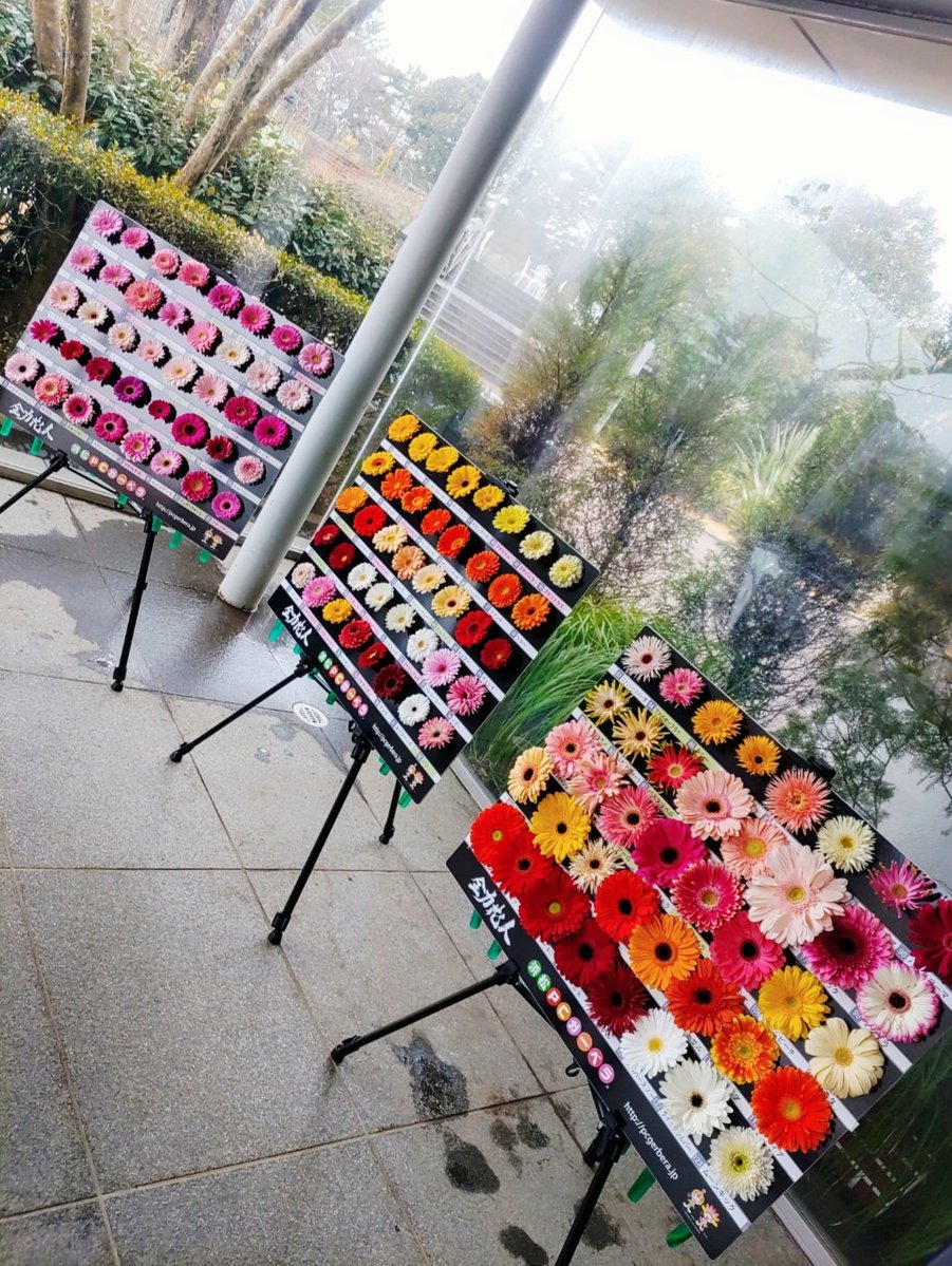 あおば tweet media