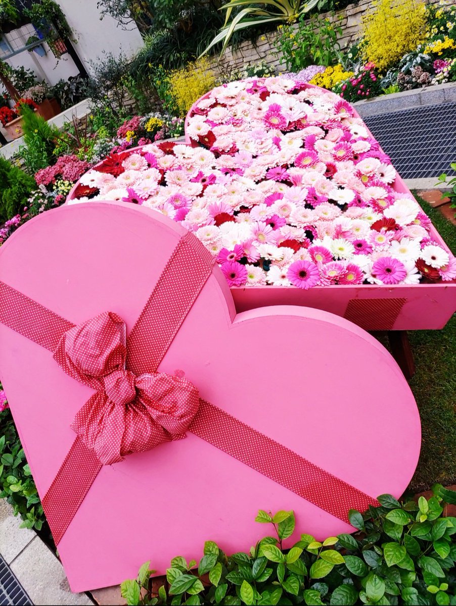 あおば tweet media