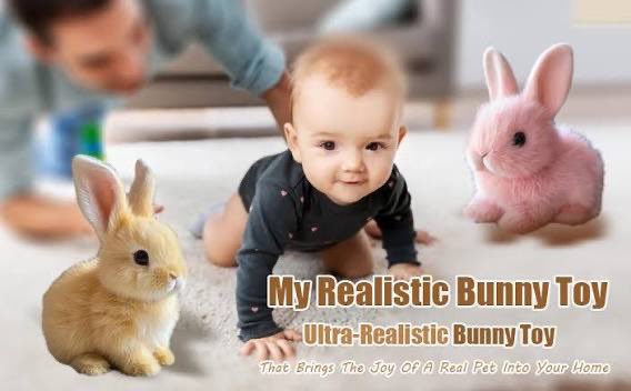 Bunny Robot Toy tweet media