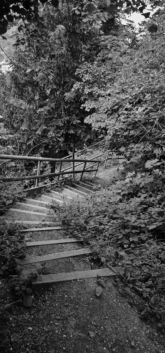 Drabbles153's tweet image. #NFTkaltenstein #kaltenstein #monochrome