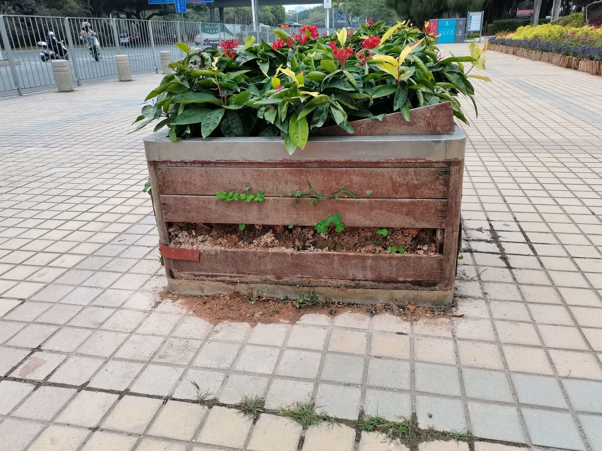 Calvin Borgmeier tweet media