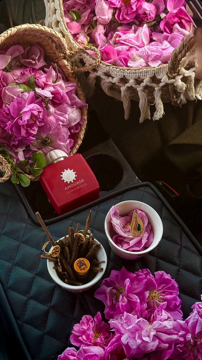 AURA💫 tweet media