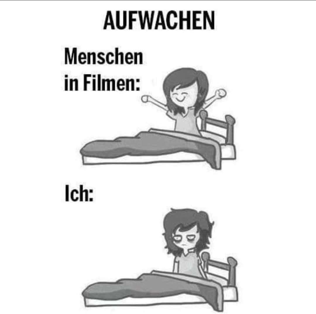 Learn German Language tweet media