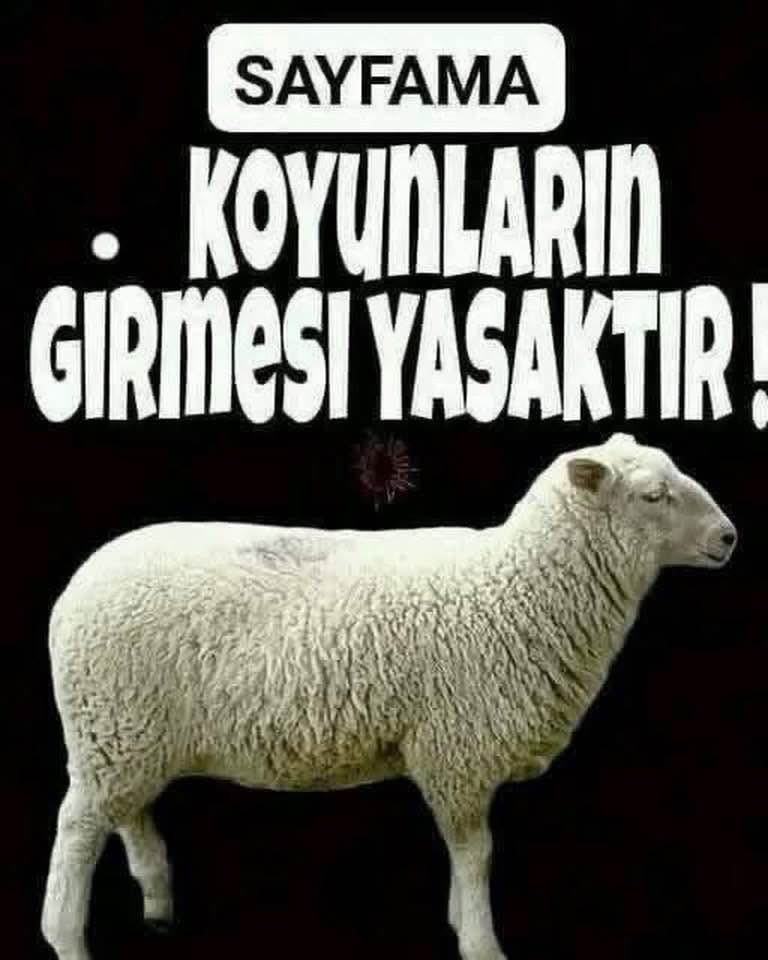 İZMİR,li vatansever 💯🇹🇷 tweet media