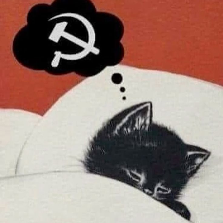 ayzek☭ tweet media