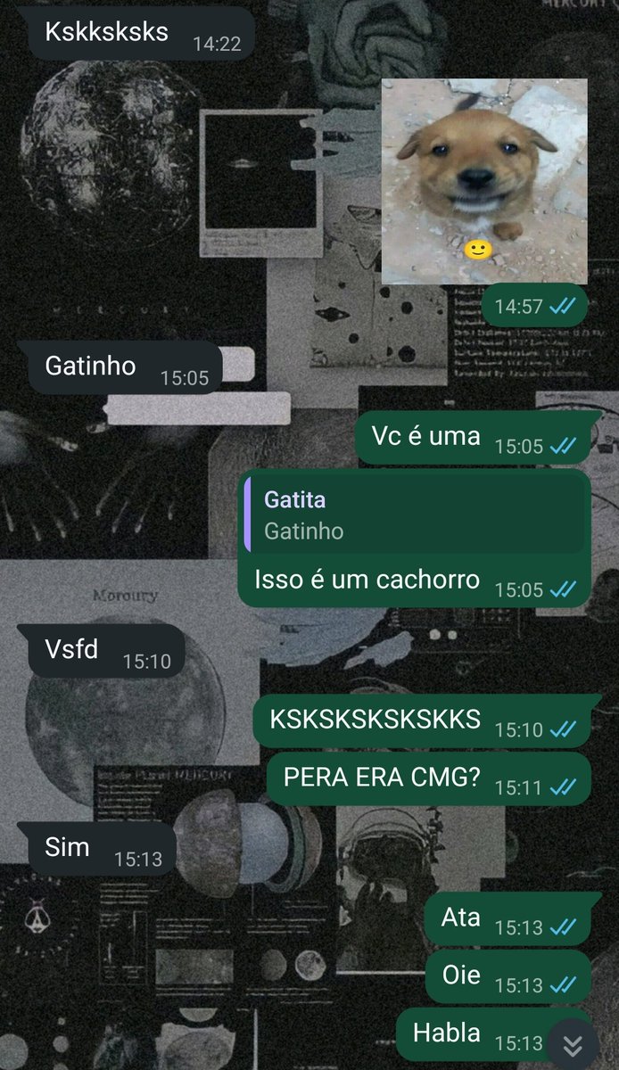 Caixa de matar insetos tweet media