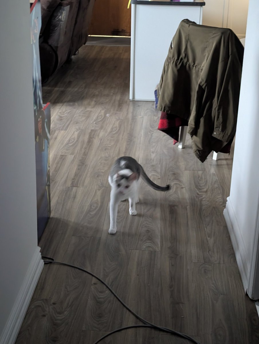 sometimes eos tweet media