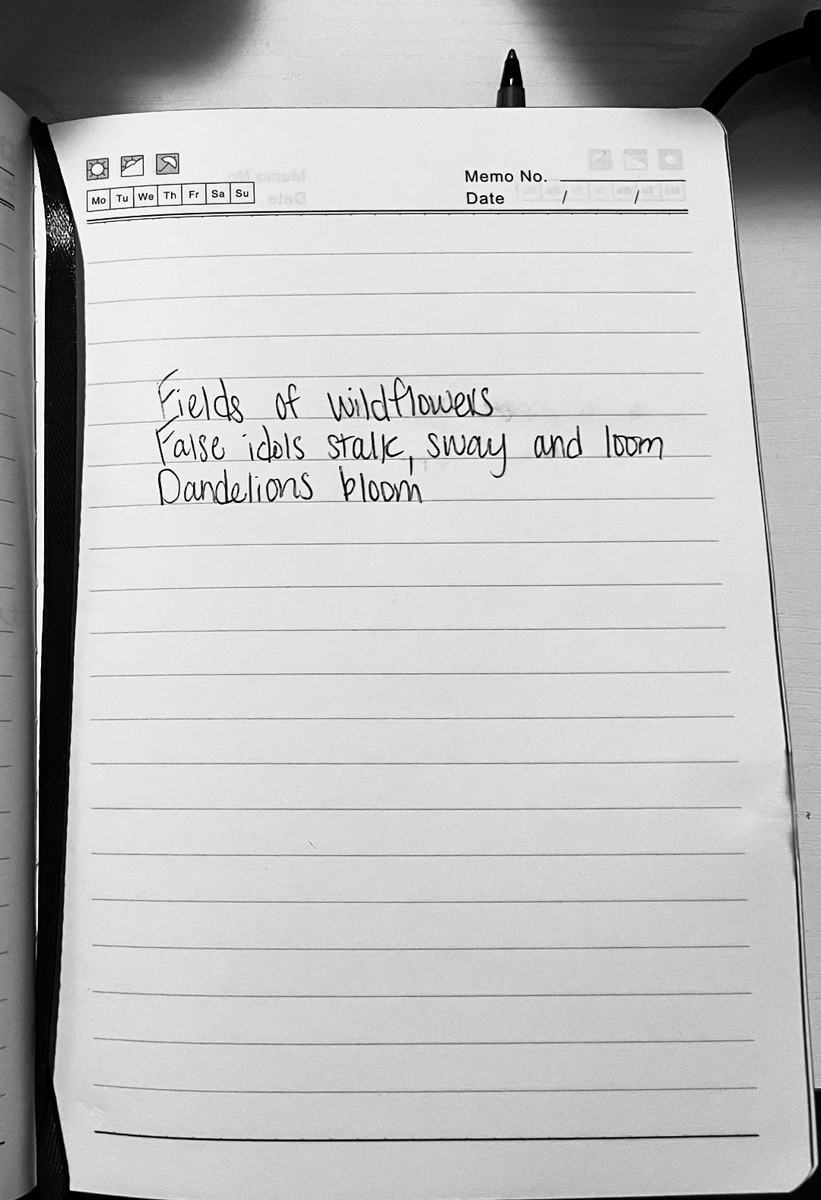 jhasmoments's tweet photo. #writing #Haiku #wildflowers https://t.co/njybgwJF2a