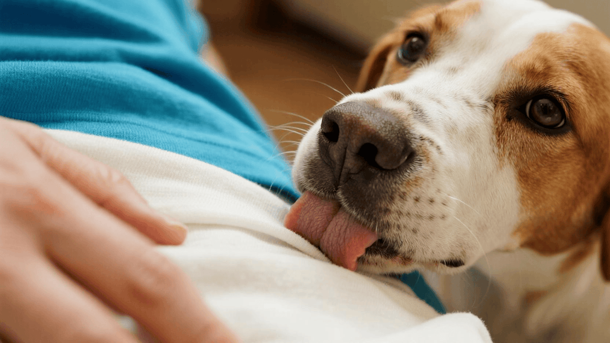 Tuana-Jade Sánches tweet media