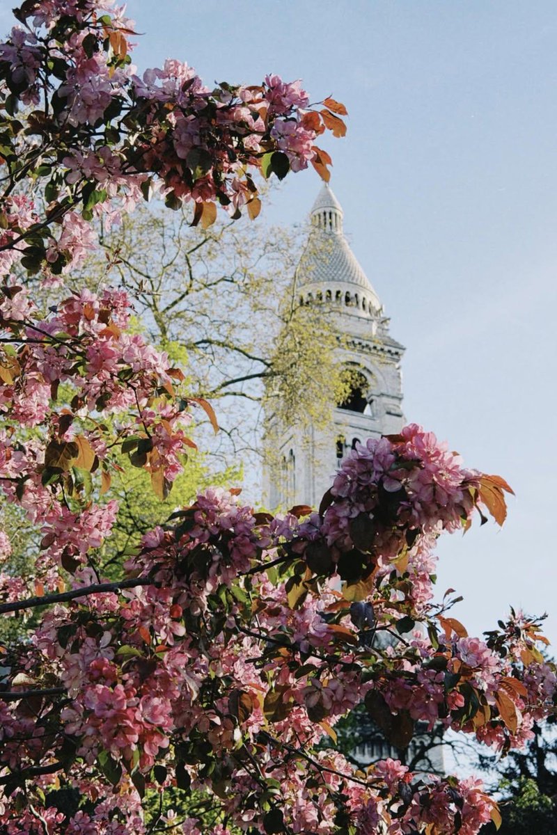 France Safety Travel tweet media