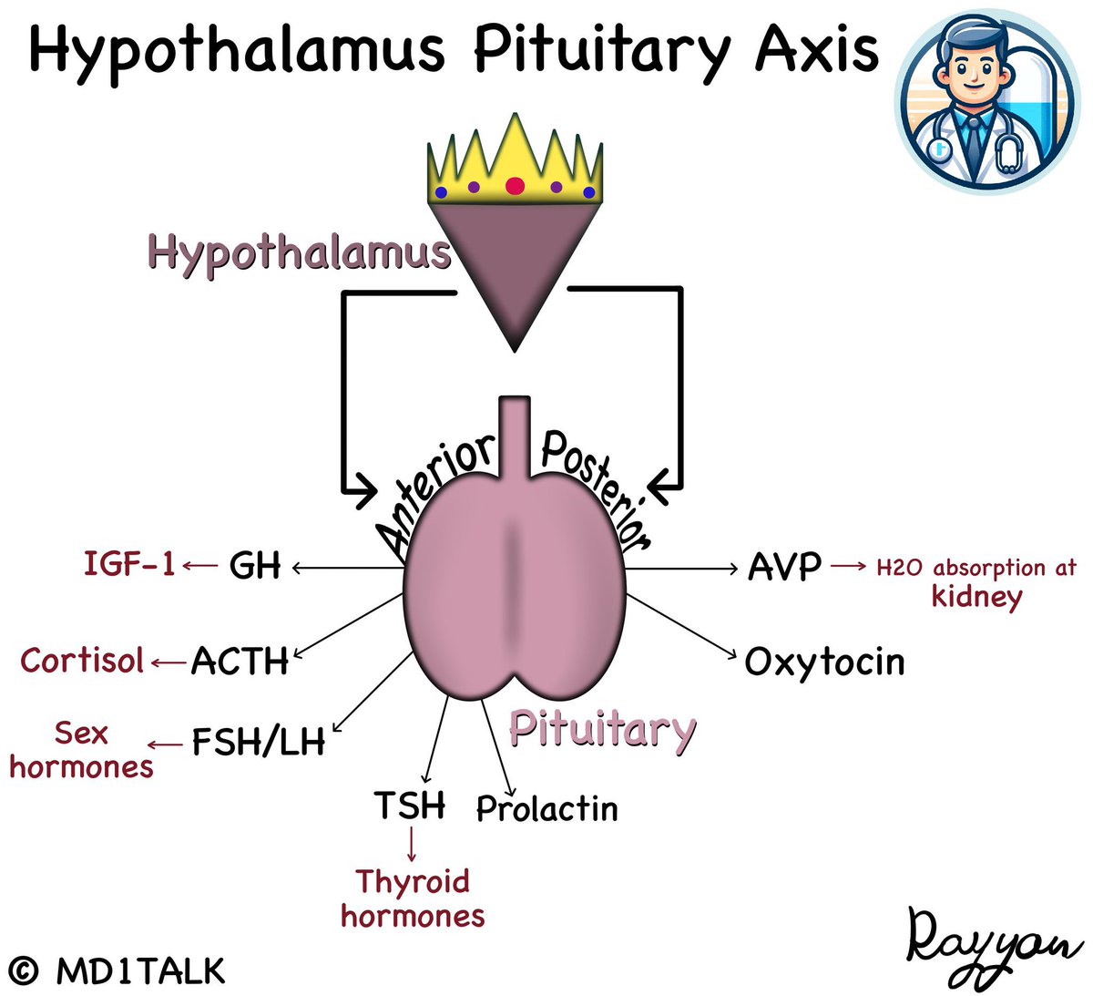 ريان | MD1TALK🌟 tweet media