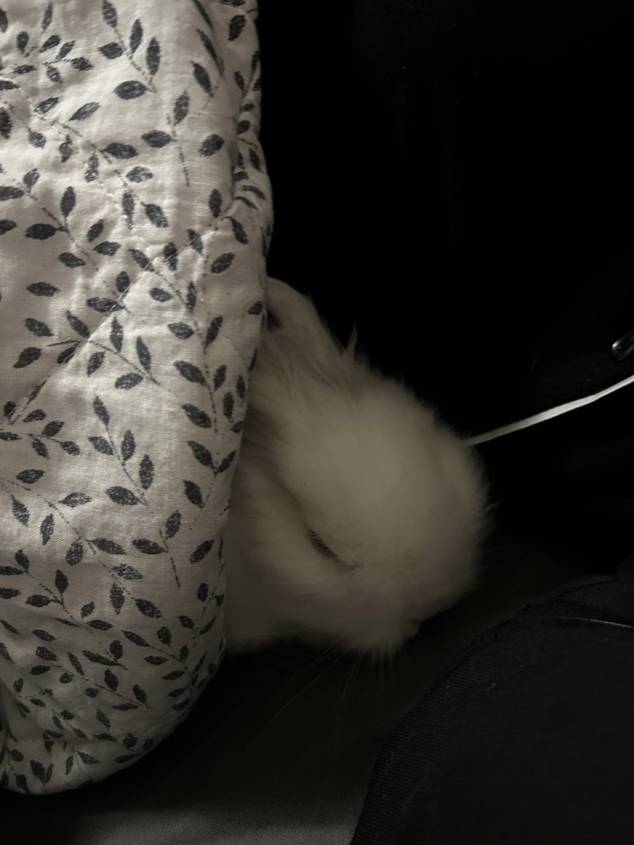 ilovehnjisung's tweet image. going to mimir