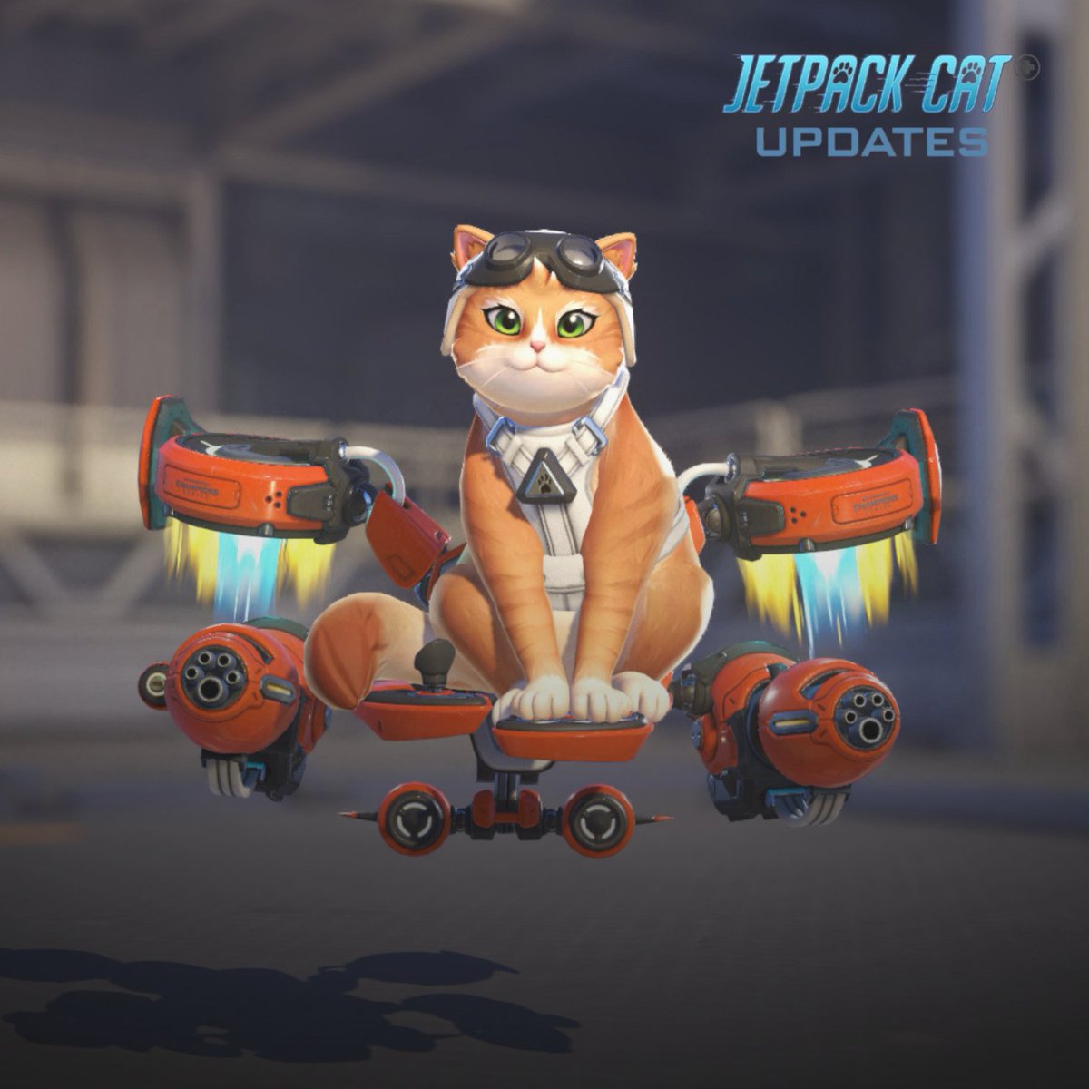 Jetpack Cat Updates 🐾 🐈 tweet media