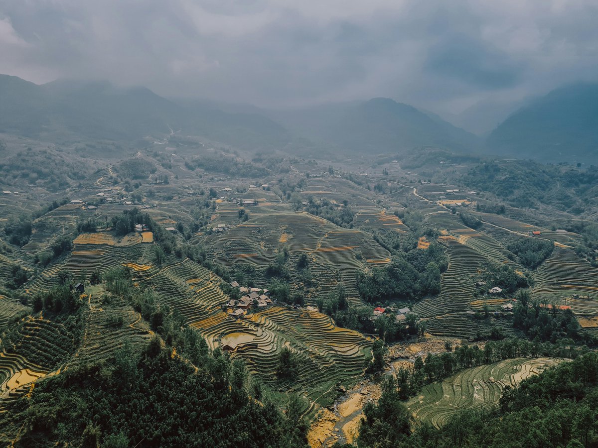 Alayah  Lowe tweet media