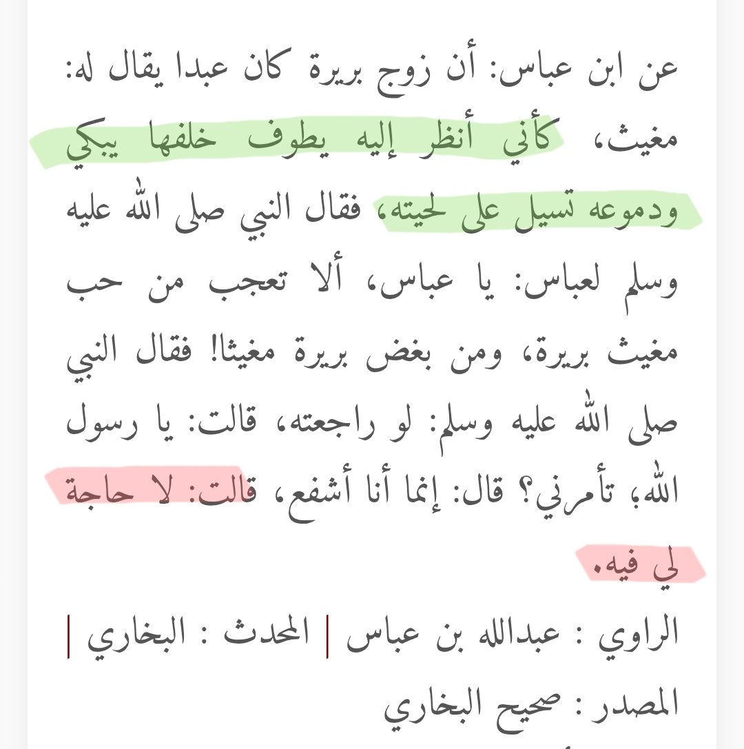 •المنذر• tweet media