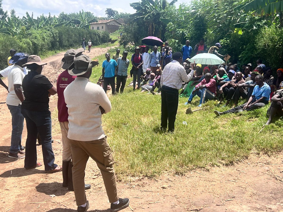 YEAN_Agro's tweet photo. Uyu munsi mu gishanga cya Ruboroga giherereye muri Kamonyi.
Abakozi ba RAB, no mu karere bari kumwe na Team ya YEAN basuye abahinzi bahinga muri iki gishanga muri gahunda yo kubahumuriza ku biza by’umuzure bagize muri iki gishanga bikangiza ibihingwa byari bihinzemo muri sezo 2026B. Abahinzi bishimiye iki gikorwa kandi bizezwa ubufasha muri sezo 2026C kugira bazabone umusaruro mwiza kandi mwinshi w’ imboga kugira bakuremo igihombo batewe n’ibiza.
Iki gishanga gifite hegitari 130 kigaba gihingamo abahinzi basaga 1400 bahinga ibigoli,ibishyimbo n imboga( ibitunguru)