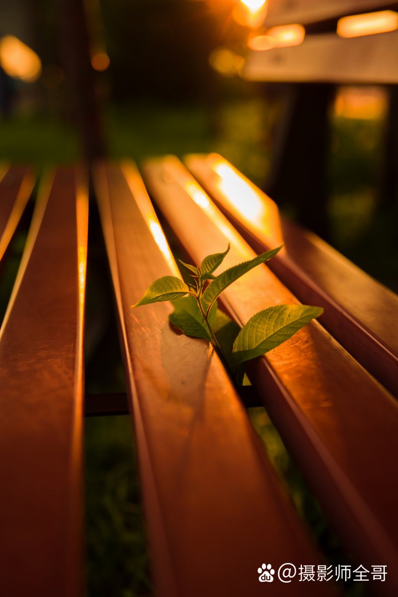 muralikannan tweet media