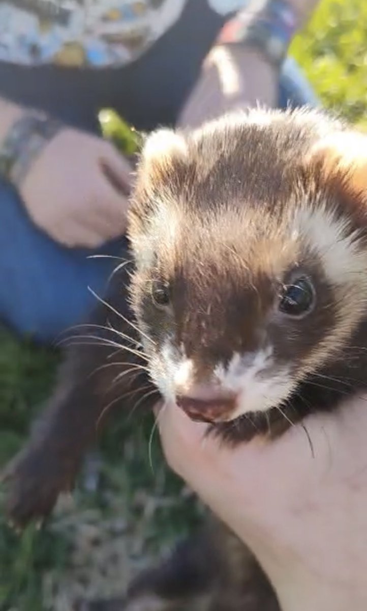 hi welcome to gay trash.com tweet media