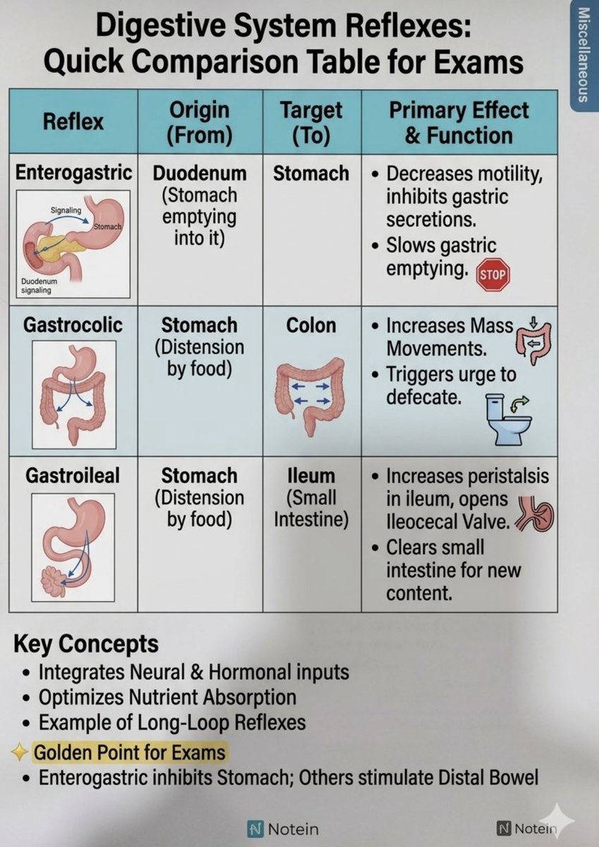 Prof Mona Afify, MD tweet media