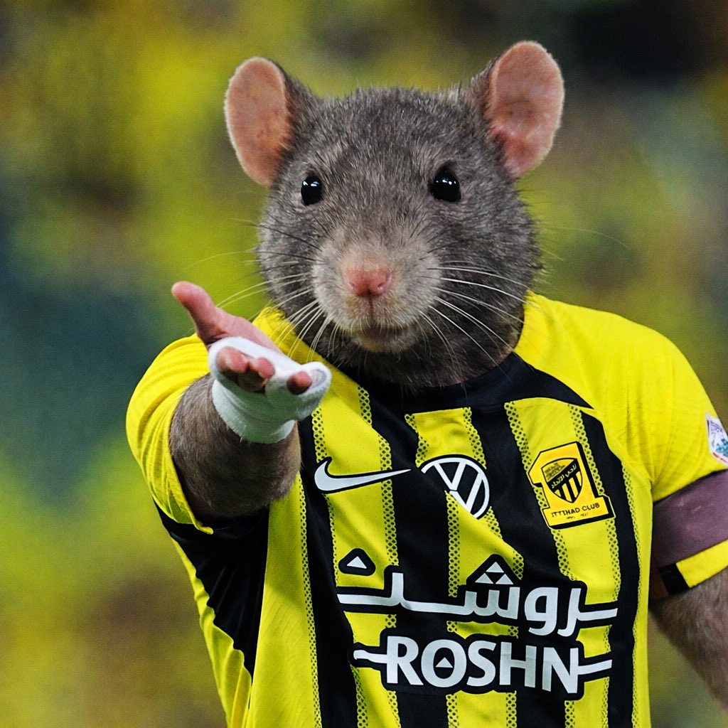 البـدر tweet media