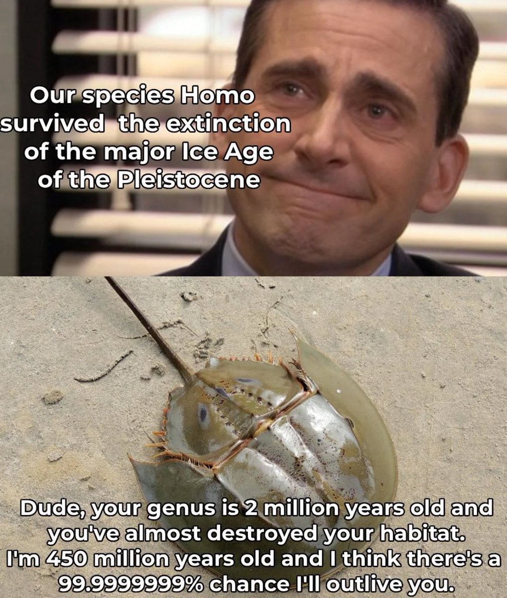 Science Is Fun tweet media