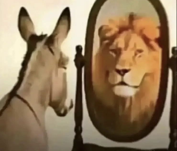 O desinformante tweet media