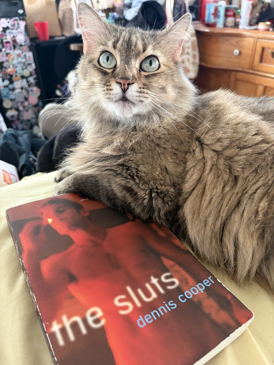 Lucas 🦇 tweet media