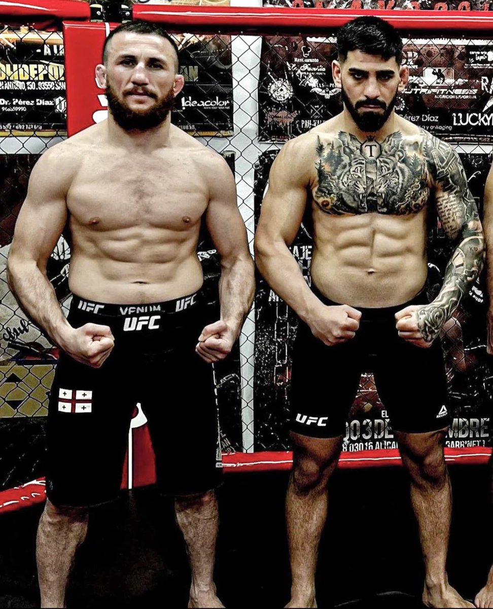 Home of Fight tweet media