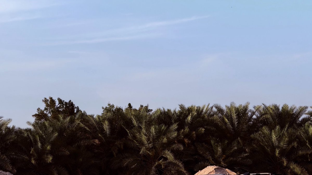 عــاصــم tweet media