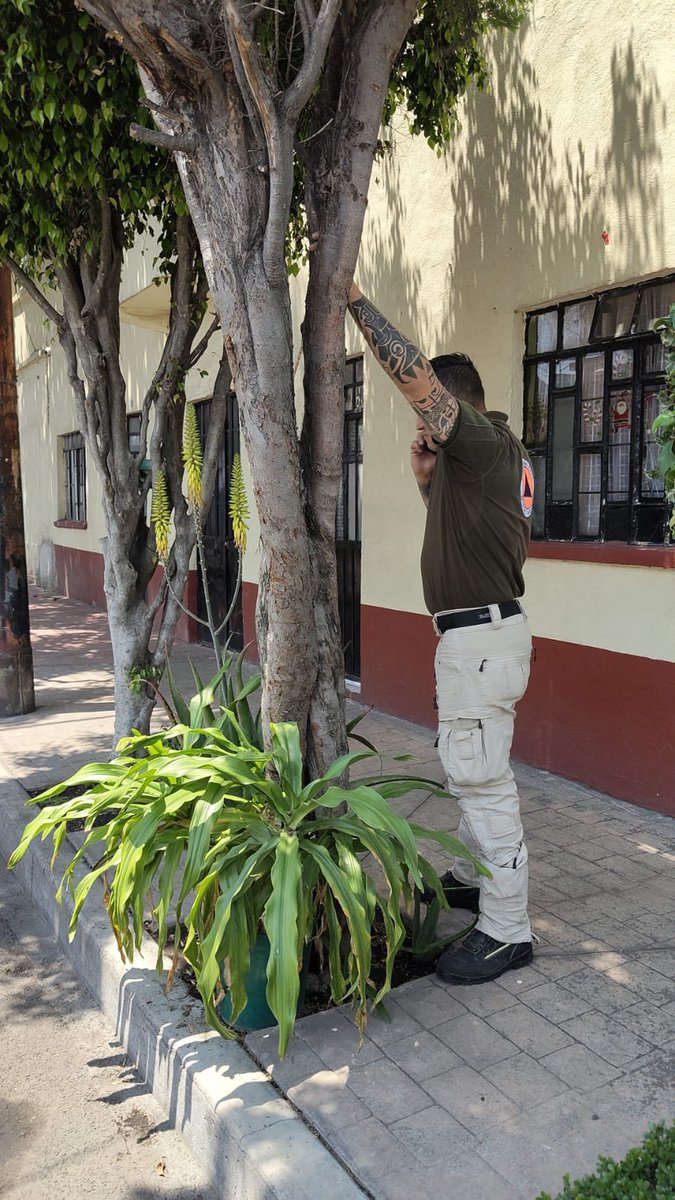 jose  piña tweet media