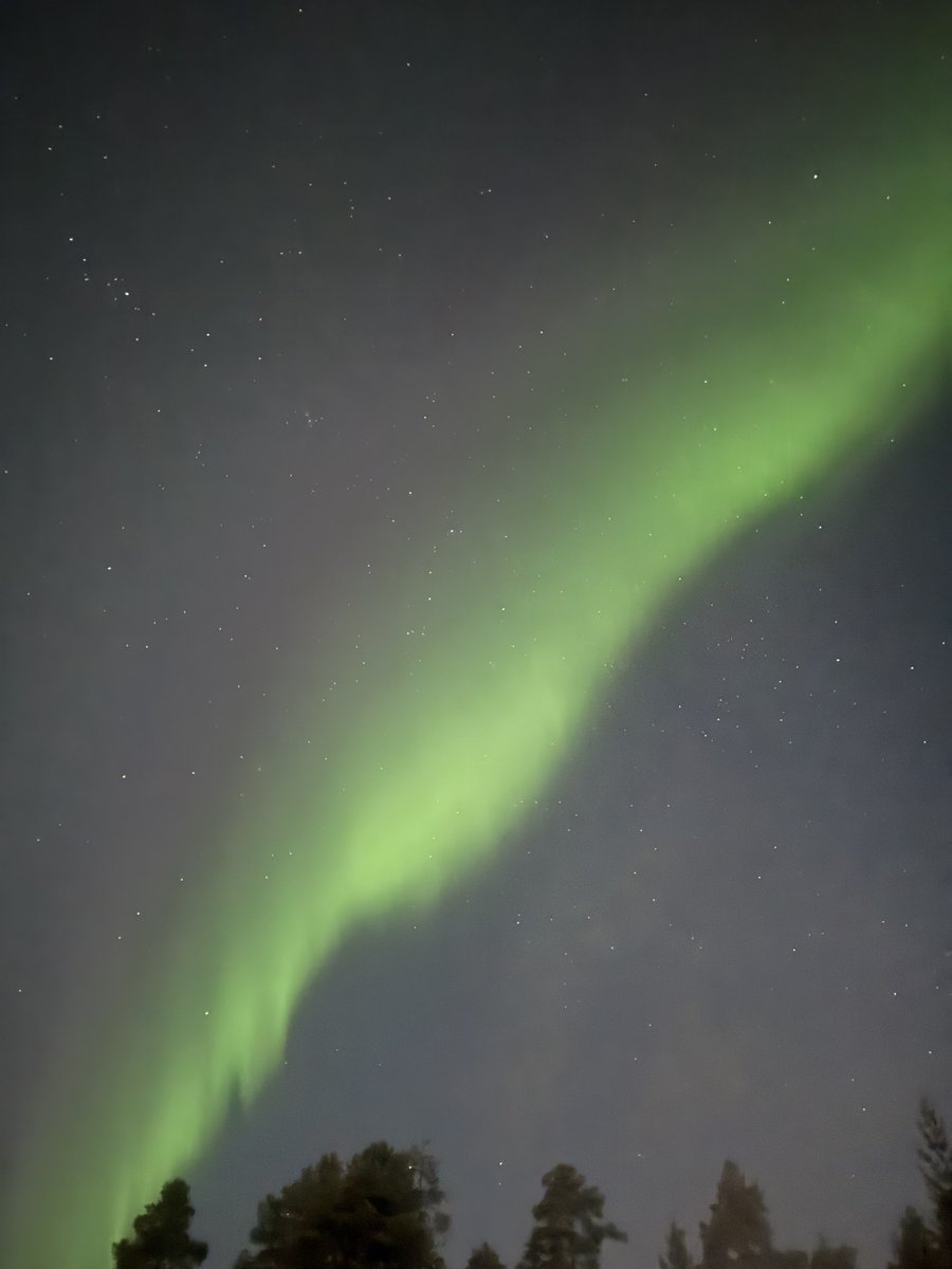 Mohsine 🇲🇦 ⵣ tweet media