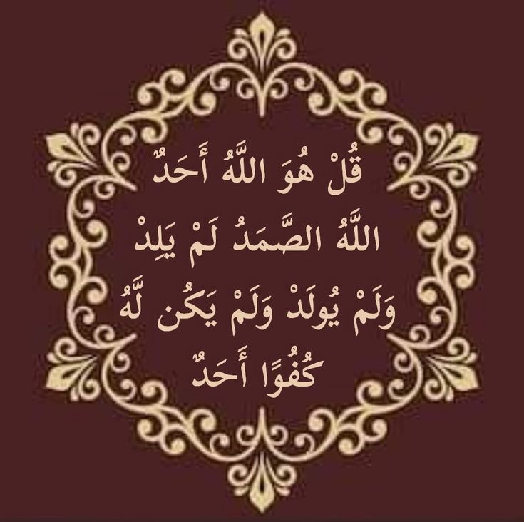 مغرده عابره tweet media