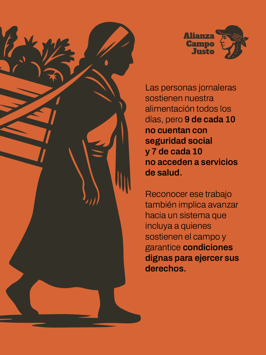 Las personas jornaleras agrícolas sostiene nuestra alimentación, pero la mayoría carece de seguridad social y acceso a salud. Reconocer su labor implica avanzar hacia un sistema que garantice derechos y condiciones dignas en el campo.
#SembrandoSeguridadSocial 🌱