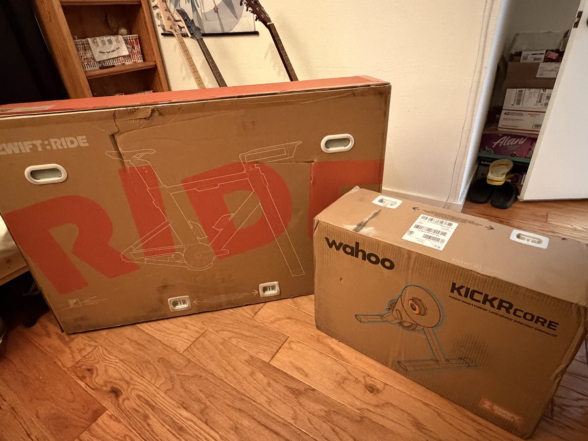 Gaol Cat tweet media