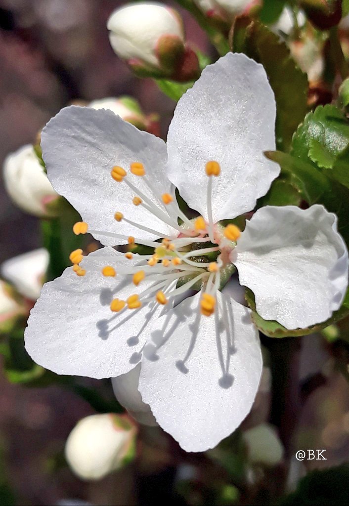 Balint Kovac tweet media