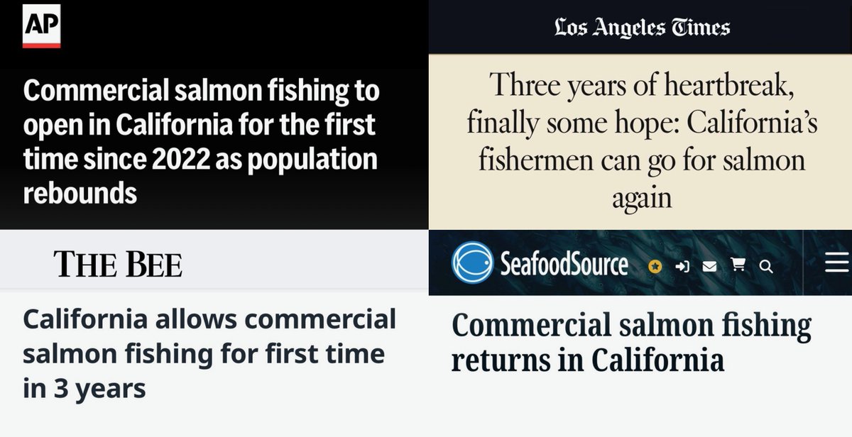 GovPressOffice's tweet image. 🎣 BIG WIN: Let’s go fishing, California!

After three years of closure, commercial ocean salmon fishing is reopening as Sacramento River and Klamath Chinook populations rebound — thanks to major progress restoring our iconic salmon populations.
