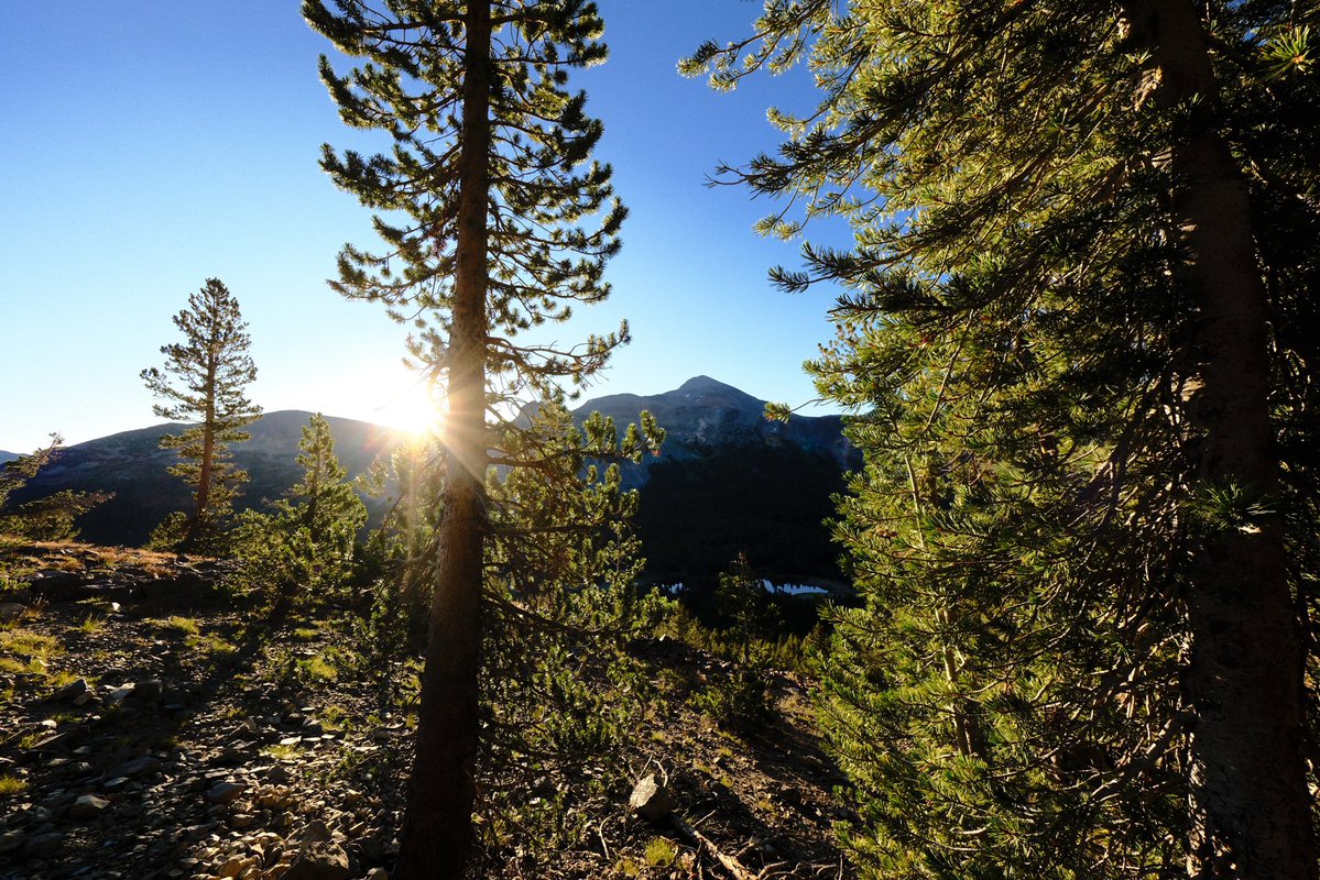 FujifilmX_US's tweet image. “To bring a bit of softness to an image that I expected to have stronger contrast than I’m used to, I knew I wanted to reduce the CLARITY in my FS RECIPE. I lifted the blacks just a touch to really lean into that softness, sort of working in tension with Velvia’s character.”