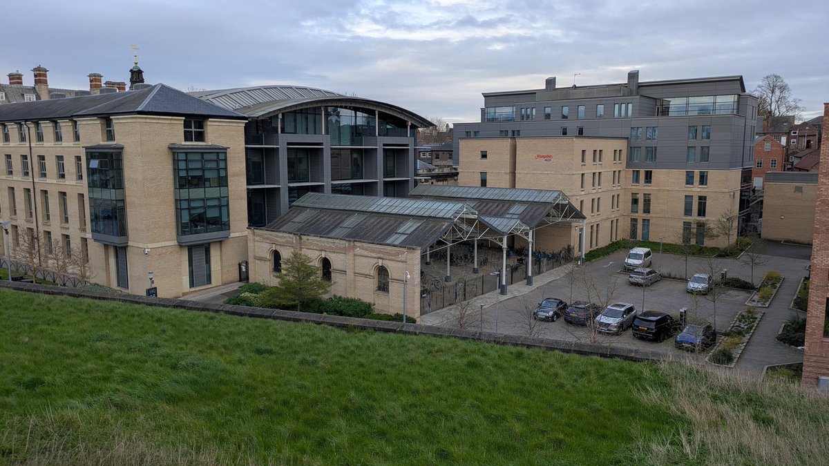 edificity tweet media