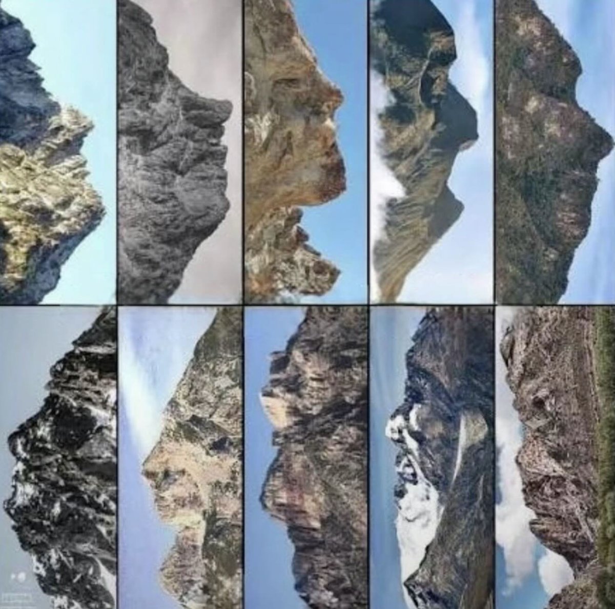 The Biblical Man tweet media